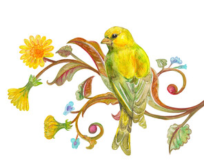 rear view of yellow pretty bird sitting on fancy blossom twig looking away, isolated on white background. watercolor painting