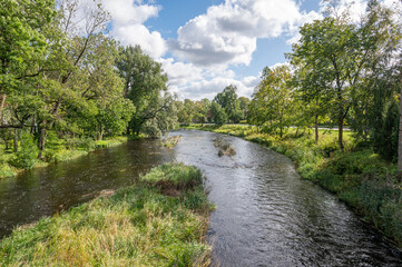 river in the forest