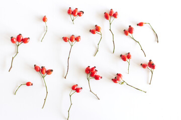Autumn composition with red rose-hips on white table background. Fall, Halloween and Thanksgiving design. Flat lay, top view.