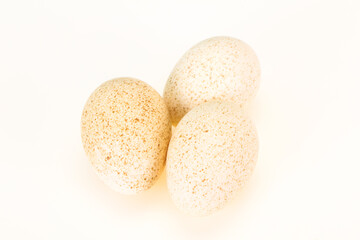 Three big raw turkey egg