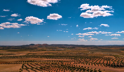 Campo agricola de olivos con la tierra en tonos naranjas y granates, al fondo los montes de Toledo...