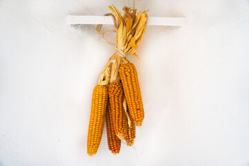 corn hanging on the wall