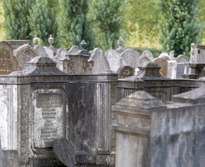 Close up of Victorian gravestones at historic Willesden Jewish Cemetery in north west London. Poplar trees on the boundary in the distance. 