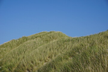 malerische sanfte Dünen überwachsen mit Strandhafer vor blauem Himmel