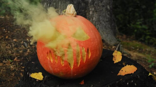 Close up of scary carved big yellow pumpkin with face in mystic halloween atmosphere and smoke coming out of holes, standing on stump in middle of autumn forest. Slow motion