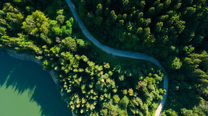 road under forest near a lake, aerial view in the daytime © Aleksander