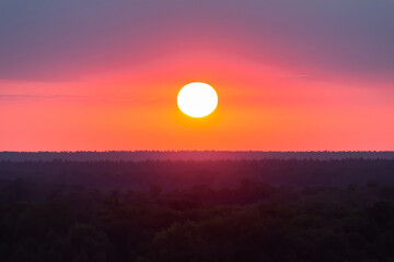 scarlet dawn over the forest, the sun rises from behind the horizon