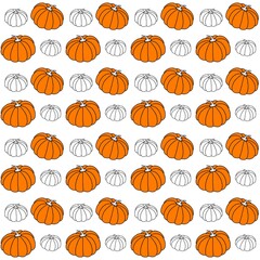 Vector colorful seamless pattern. Many autumn pumpkins, isolated on white background. Halloween or thanksgiving day concept