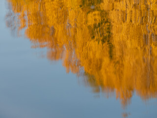 Golden autumn, reflection of yellow trees in a water