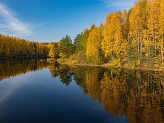 Golden autumn in Karelia, northwest of Russia. Green, red and yellow trees on the bank of the river