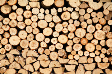 積まれた薪