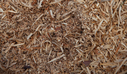 Natural brown background of dry grass.