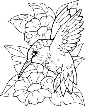 cartoon cute hummingbird bird, coloring book, funny illustration