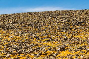 Rocky Hill, Brava Lagoon Reserve, La Rioja, Argentina