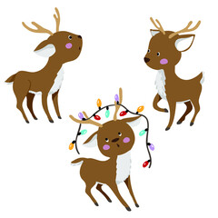 colored fawn set on the white background