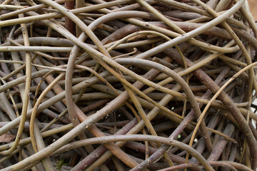 weaving wicker willow twig background close up