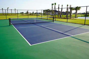 Blue and Green Pickleball court with blue sky and palm trees.                             