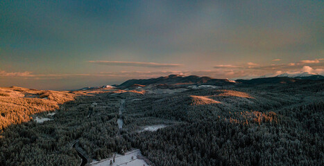 Carpathian mountains winter. Snow coniferous forest at sunset.
