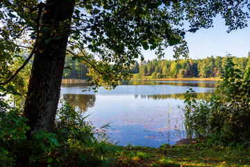 Jezioro Komosa w Puszczy Knyszyńskiej, Podlasie, Polska