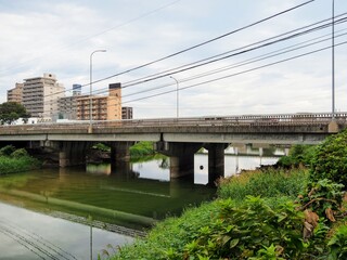 Fototapeta premium 川と橋と街の風景