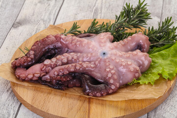 Raw octopus ready for cooking