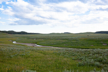 Hayden Valley Yellowstone