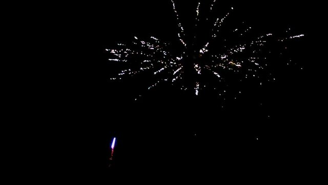 Firecracker in the dark sky during night indicating celebration