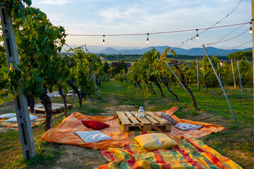 Picnic and wine tasting at sunset in the hills of Italy, Tuscany. Vineyards and open nature in the...