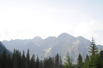 Obraz premium mountains in the morning