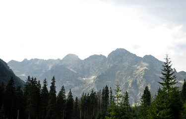 mountains in the morning