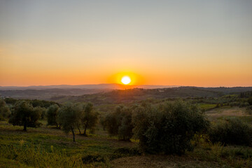 Sunset over the winyards and cypress of the Tuscany, Italy with San Gimignano in the background
