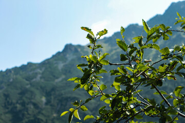 Morskie Oko in Poland / Tatra Mountains © Klaudia