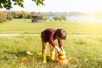 Cute boy play with pumpkin in autumn park on Halloween. Kids trick or treat. Fun in fall. Dressed up child