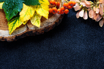 Black background with autumn leaves and tree bark.