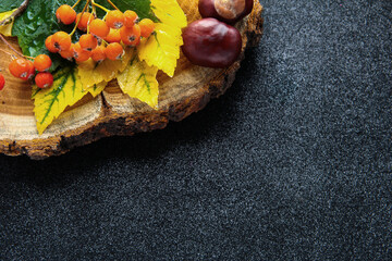 Black background with autumn leaves and tree bark.