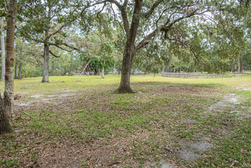 Obraz premium Brunswick Town