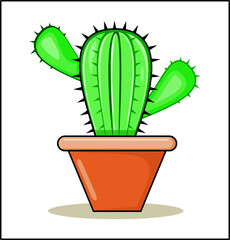 A decorative cactus plant used indoors. A green coloured cactus plant grew on vase. Cactus plant with sharp thrones.