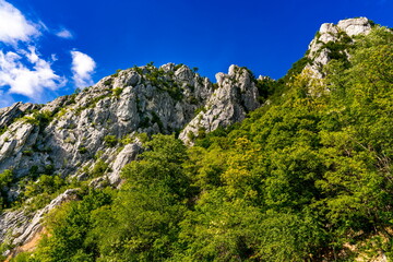 Danube gorge in Djerdap on the Serbian-Romanian border
