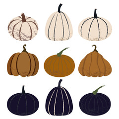 Vector illustration of pumpkins. Collection of pale white, dark violet and orange squashes isolated on white background.