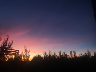 Fototapeta premium Lo que se ve es lo que hay 