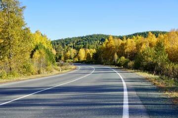 Autumnal Park. Autumn Trees and Leaves. Fall. Golden green orange leaves. Golden birch. The road going far away through the golden magic forest 