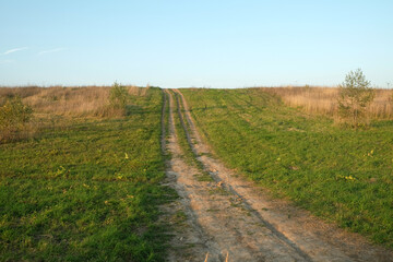 Beautiful rustic landscape with ground road runs through a green field under clear blue sky to horizon on sunny summer day
