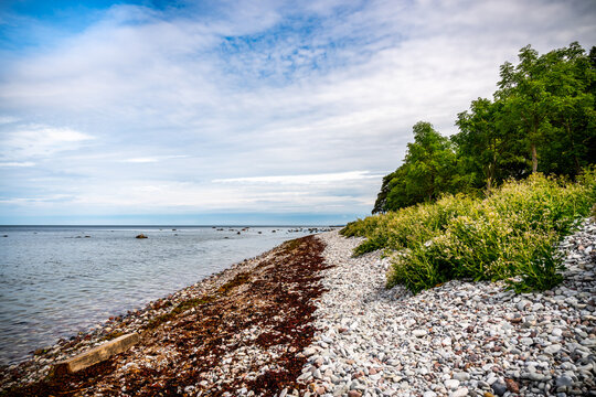 Beautiful summer view of a pebble stone beach with water horizon and sky on the island Gotland in the Baltic Sea.