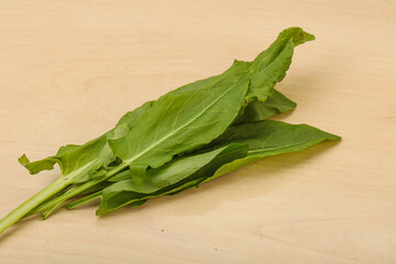 Aroma Fresh green sorrel heap