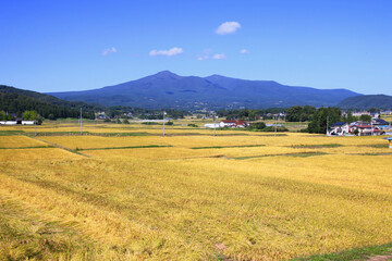 安達太良山と田んぼ（福島県・大玉村・本宮市）