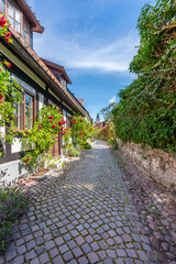 Beautiful summer view of the famous narrow cobblestone street with surrounding rose bushes and buildings in Visby Gotland Sweden.