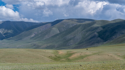 Lonely Horse Rider Mongolia