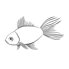 Beautiful vector with abstract fish on a white background.