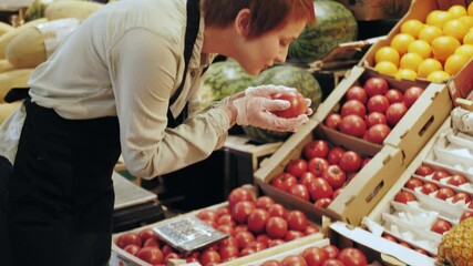 Vendor wearing gloves checks the quality tomatoes at the food market. Counter with vegetables and fruits.