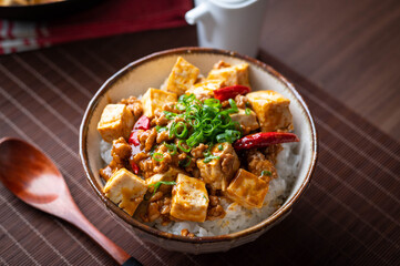 Mapo-Don, spicy mapo tofu on rice